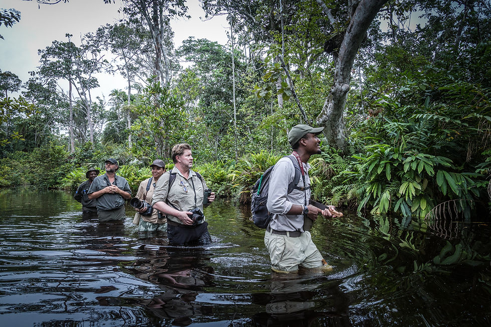 Republic of the Congo Photo Safaris.jpg