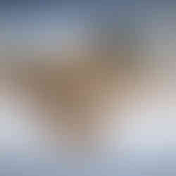 A young African Lion crouches down at the Shompole Hide waterhole and drinks during the day with clear blue skies and a sharp mirrored water reflection taken during a photographic safari with Mark Fernley Wildlife