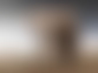 Super tusker elephant Craig photographed in Amboseli National Park, showcasing large ivory tusks in a wildlife photography setting in Kenya