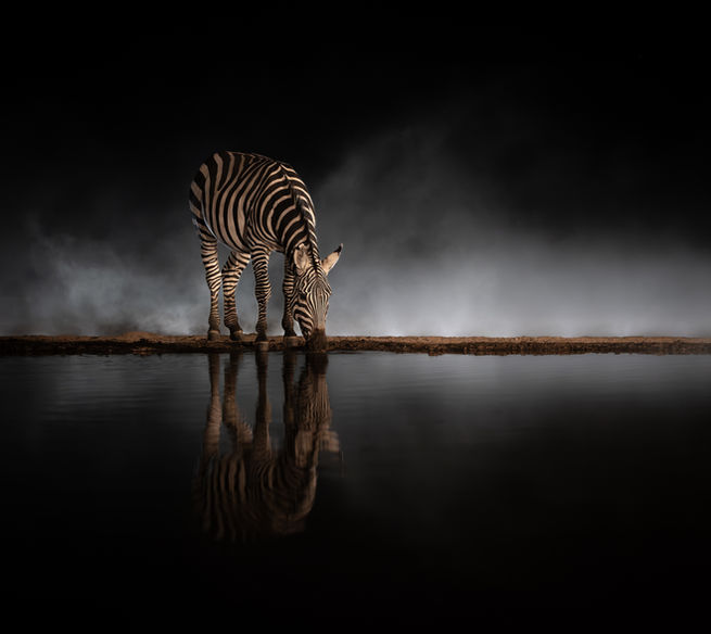 A zebra comes to drink at night here at Shompole Hide, taken by wildlife photographer Mark A Fernley with Untamed Photo Safaris.