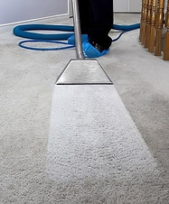 Carpet Cleaning Picture