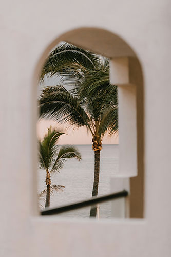 miguel-hernandez-MxTFmj8jWUQ-unsplash.jpg