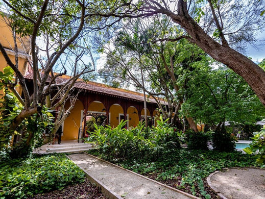 Yellow Hacienda Forest