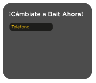 Formulario-Bait.gif