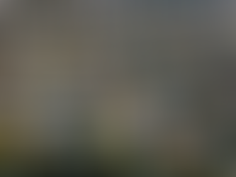 Unlocking Real Estate Investment Opportunities for New Investors