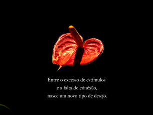 experiência privada sofisticada em ambiente moderno relacionada a acompanhantes de luxo e encontros adultos exclusivos