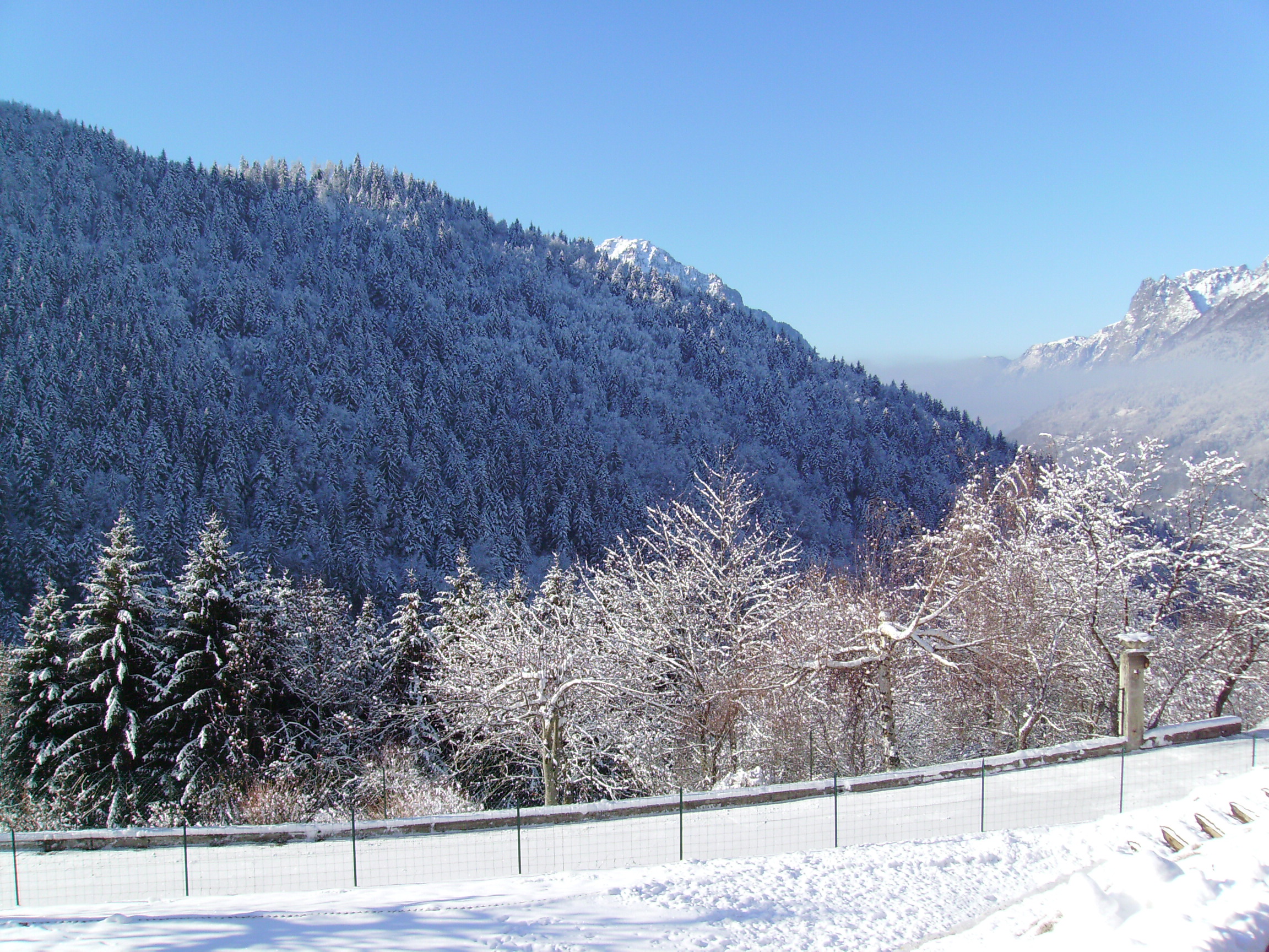 Vue depuis le Bessey