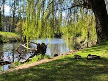 Bothell Landing Park.jpg