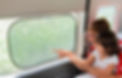 Kinder Fluff Window Shades Jumbos 25x16 inches Transparent.jpg