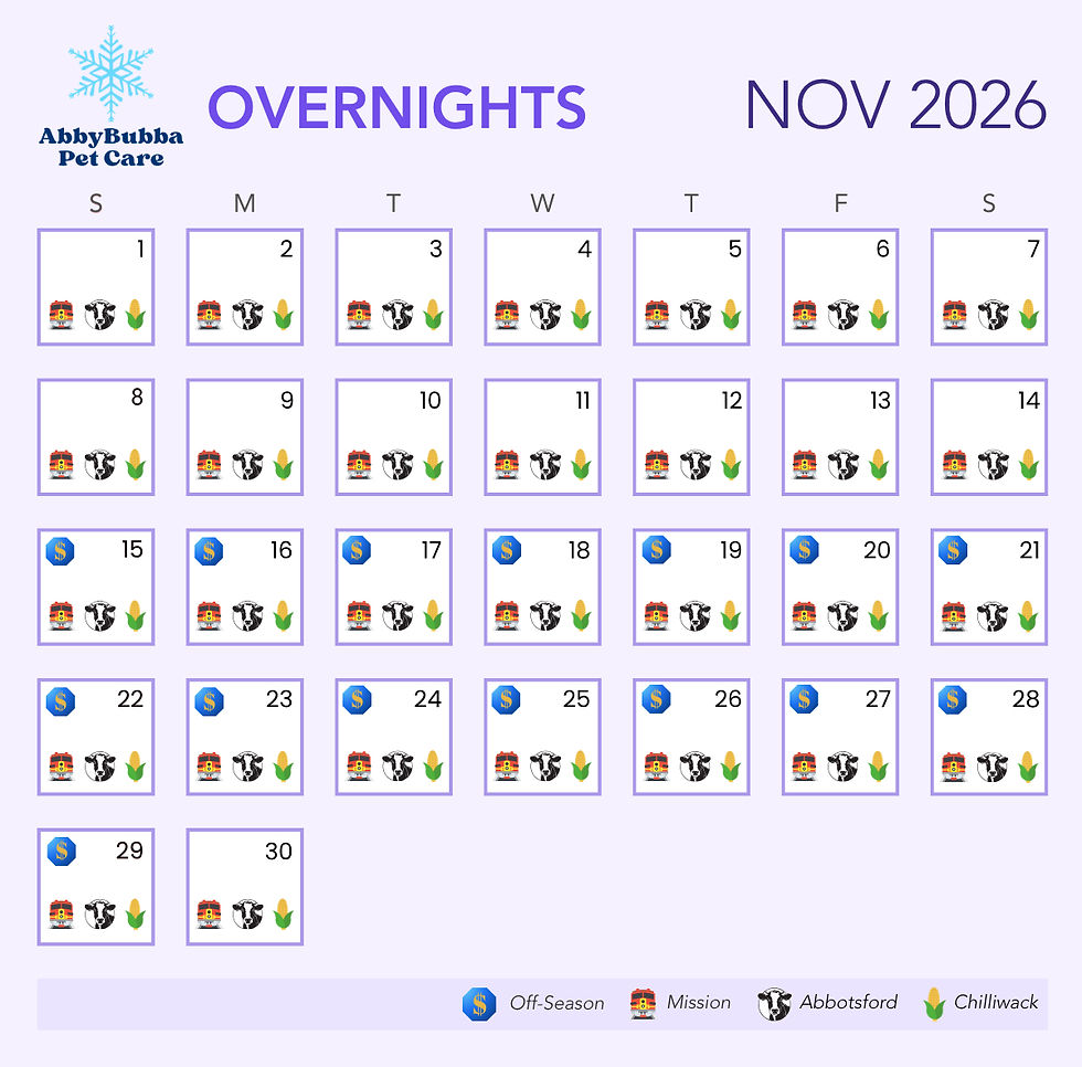 AbbyBubba_Availability_Overnights_Nov