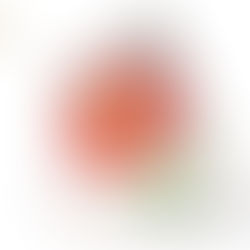 Individuell gestalteter Stammbaum für Kinder mit Blumen-Illustration als Beispiel für eine persönliche Familienchronik.
