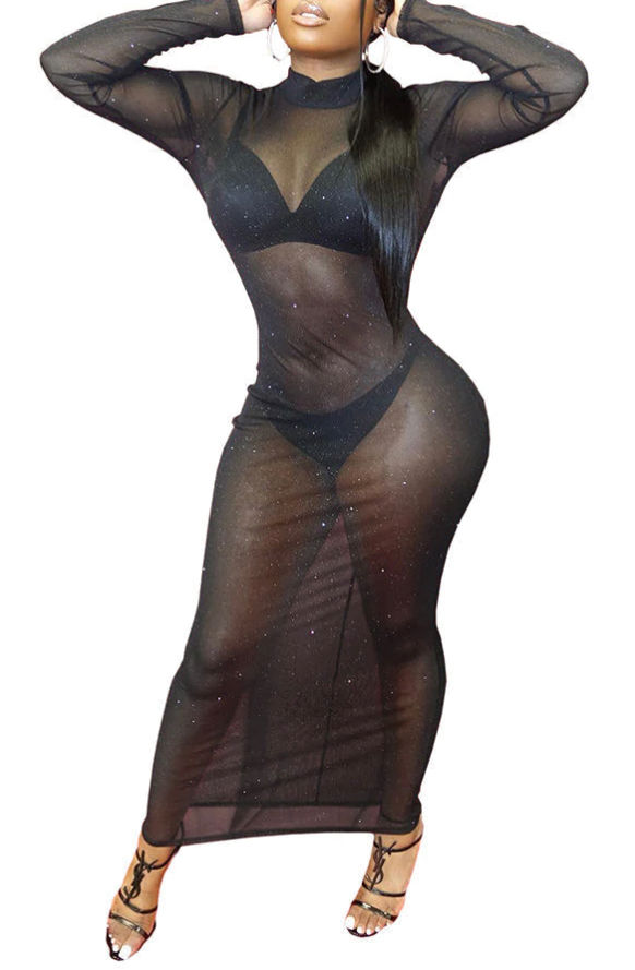 Thumbnail: Long Sleeve Sheer Dress