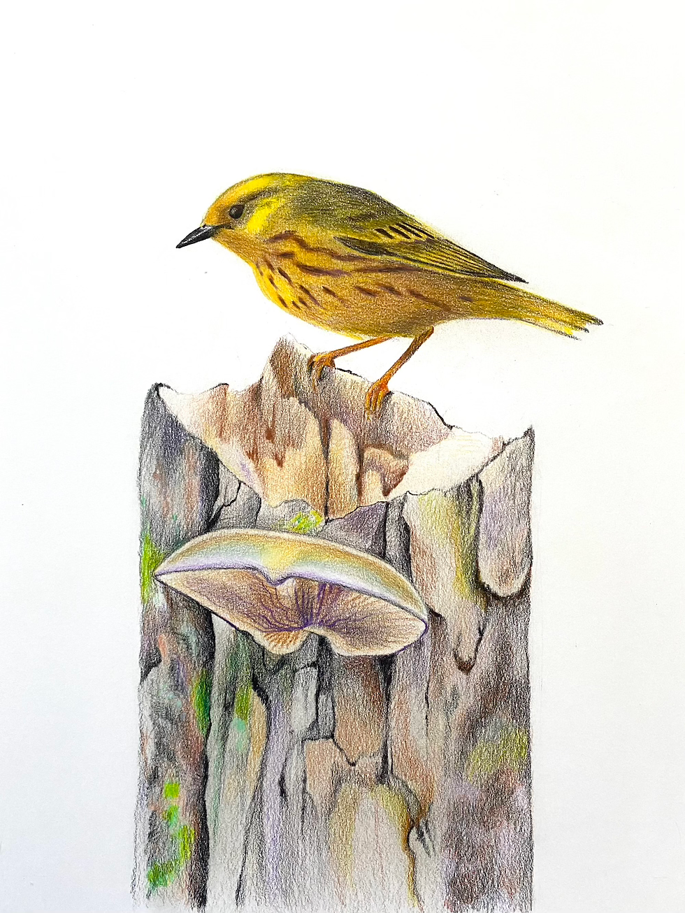 Bird and Branch