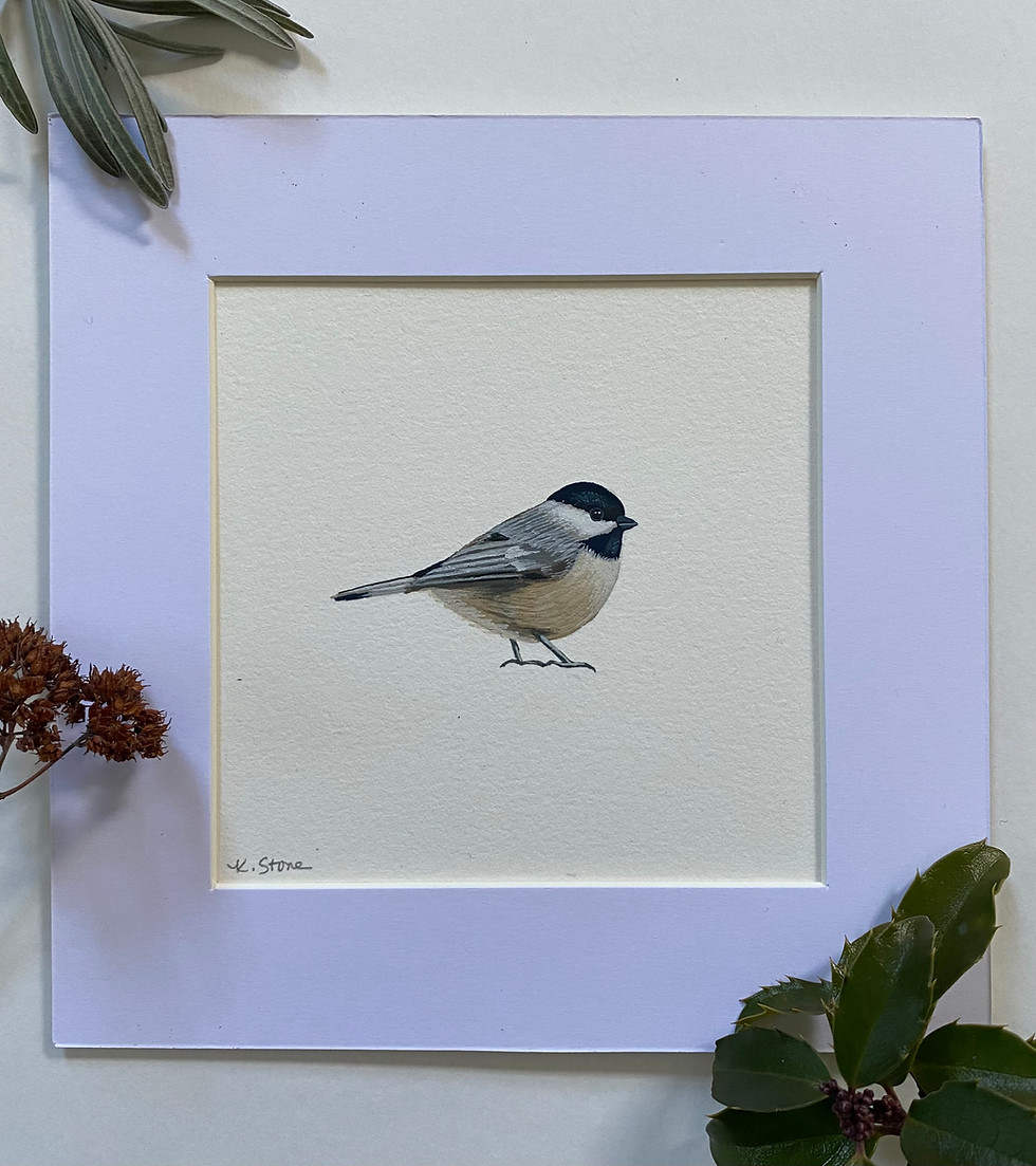Thumbnail: black capped chickadee-*SOLD