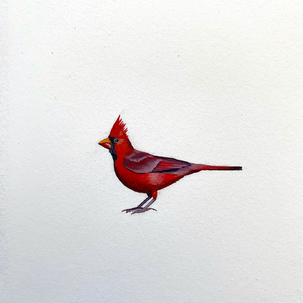 Thumbnail: cardinal-*SOLD