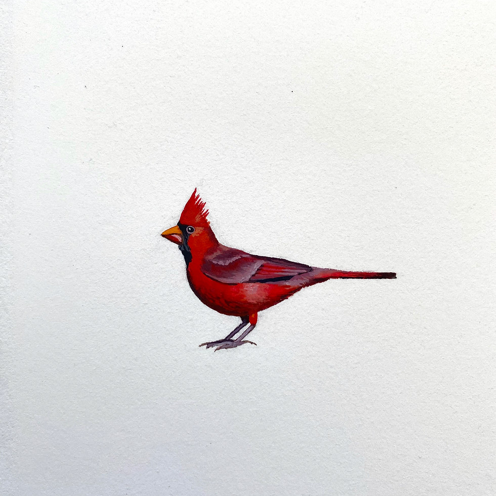 Thumbnail: cardinal-*SOLD