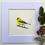 Thumbnail: goldfinch