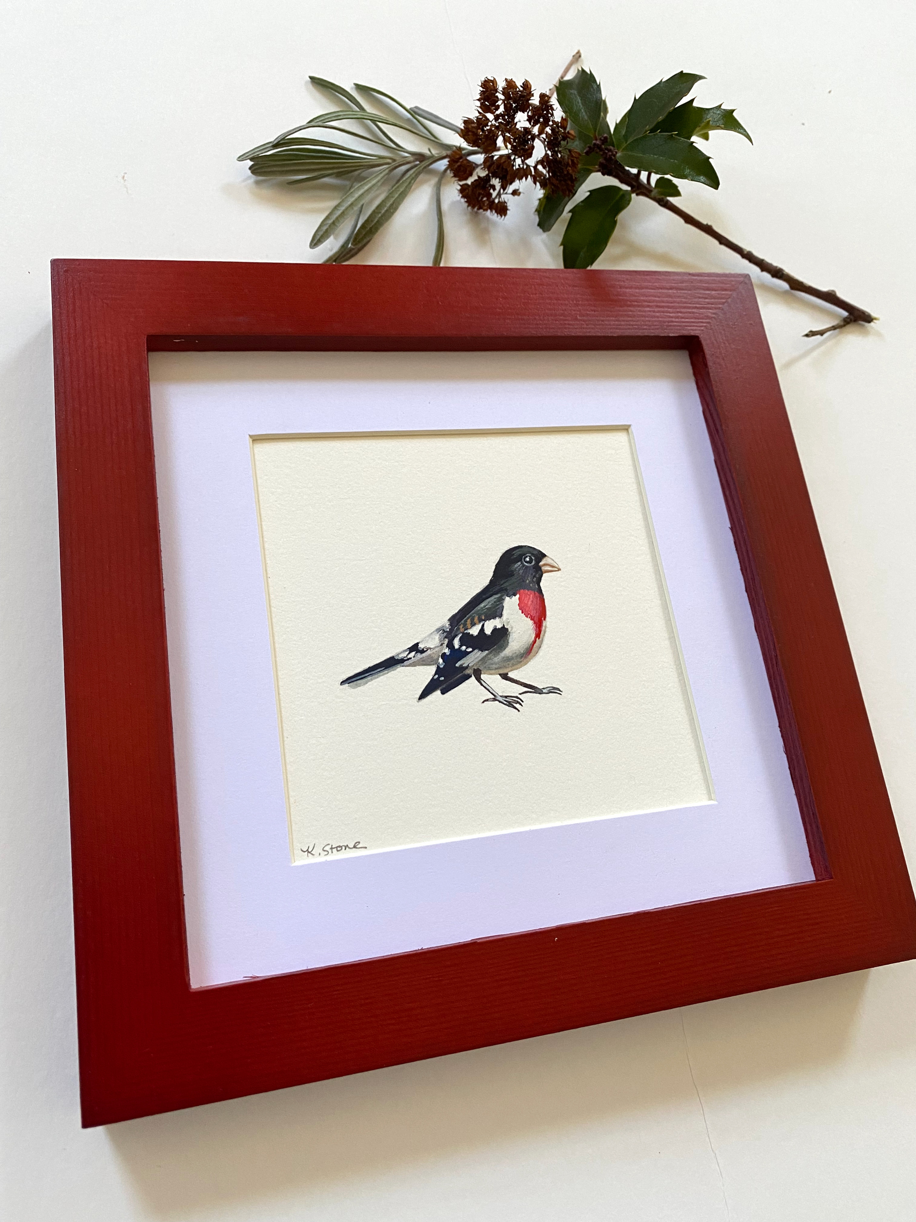 red breasted grosbeak