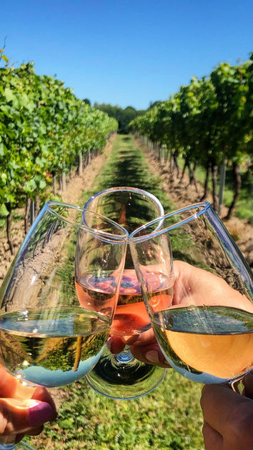 wine-in-vineyard.jpeg