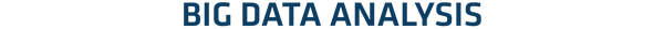 t_bigdataanalysis.png