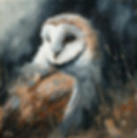 Barn Owl Portrait Original Fine Art Impressionist Painting 30 x 30 cm