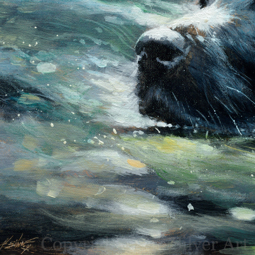 Thumbnail: Black Labrador Dog Swimming Portrait Painting 40 x 30 cm