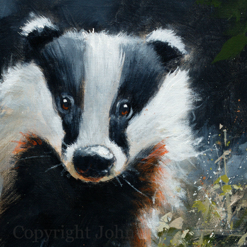 Thumbnail: Badger Portrait Original Fine Art Painting 30 x 30 cm by John SilverBA.