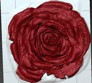Rose with white background.PNG