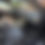 Thumbnail: 2019 Jeep Grand Cherokee Limited  4X4