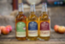Bottles.jpeg