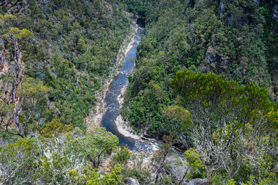 Mersey River