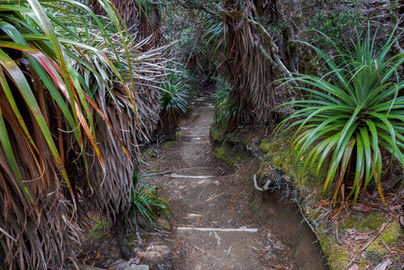 Track leading down to Waterfall Valley