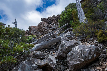 Meander Falls Track