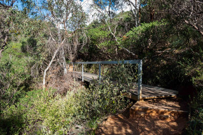 Sixty Foot Falls Trail
