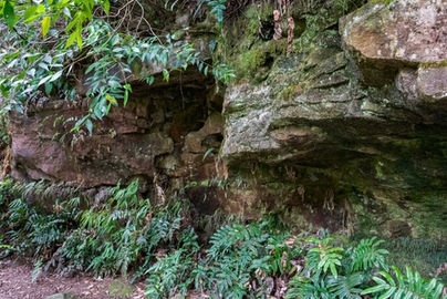 Rock face along the Liffey Falls Track