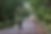 Cyclist on the Munda Biddi Trail