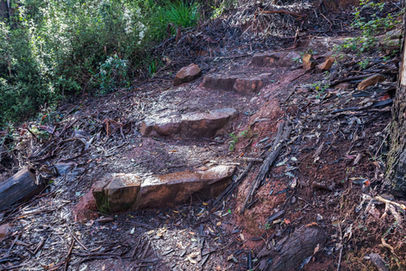 Stone steps on the Harewood Forest Walk