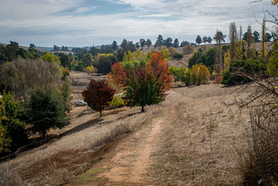 Golden Valley Tree Park Balingup