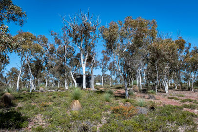 Yonga Campsite Lesueur National Park