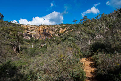 Sixty Foot Falls Trail