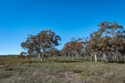 Lesueur National Park