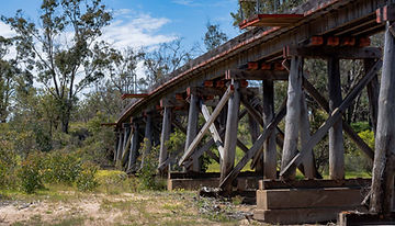Skeleton Bridge Walk