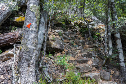 Climbing the Meander Falls Track