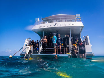 Great Barrier Reef Boat Tour