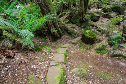 Meander Falls Track