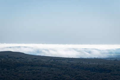 Fog seen from Mount Lesueur