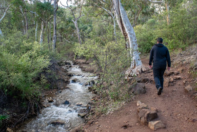 Walk Trail along Lesmurdie Brook