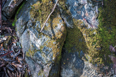 Mossy Granite