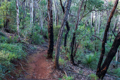 Walks in Beelu National Park