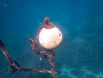 Kayak Buoy Bills Bay